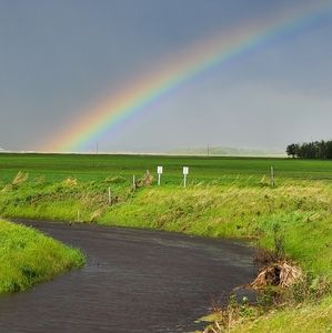 Meet your Posher, Lena